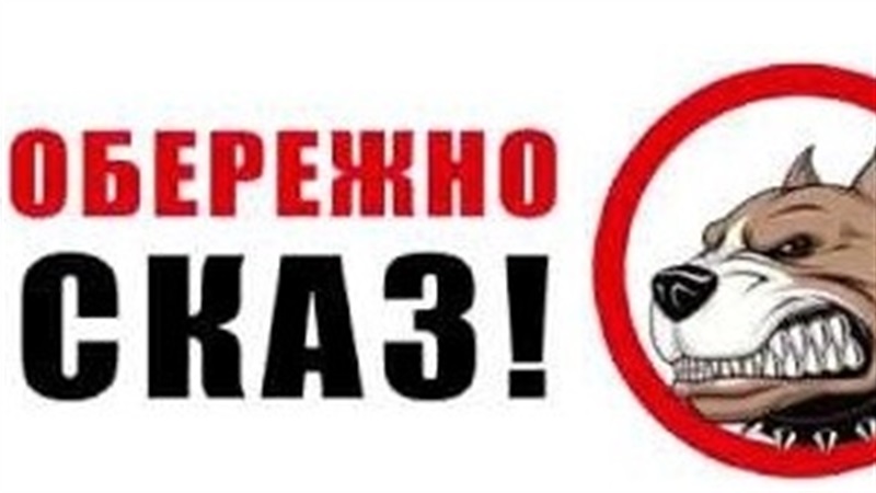 Запоріжцям нагадали про небезпеку сказу - Официальный сайт Запорожского  городского совета